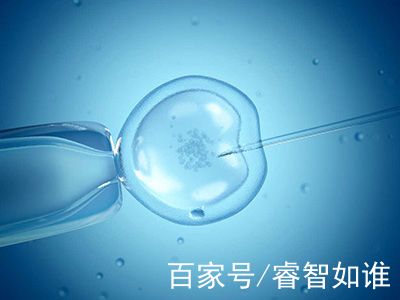 取卵手术室